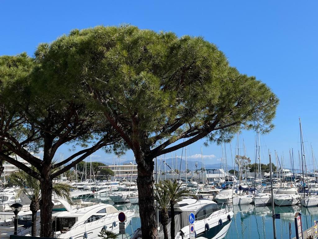 4 Pers , 100M De La Plage Marina Baie Des Anges French Riviera Villeneuve-Loubet Zewnętrze zdjęcie